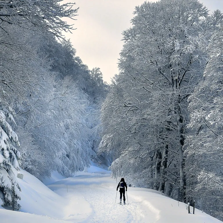 What to do in the Pyrenees in winter?