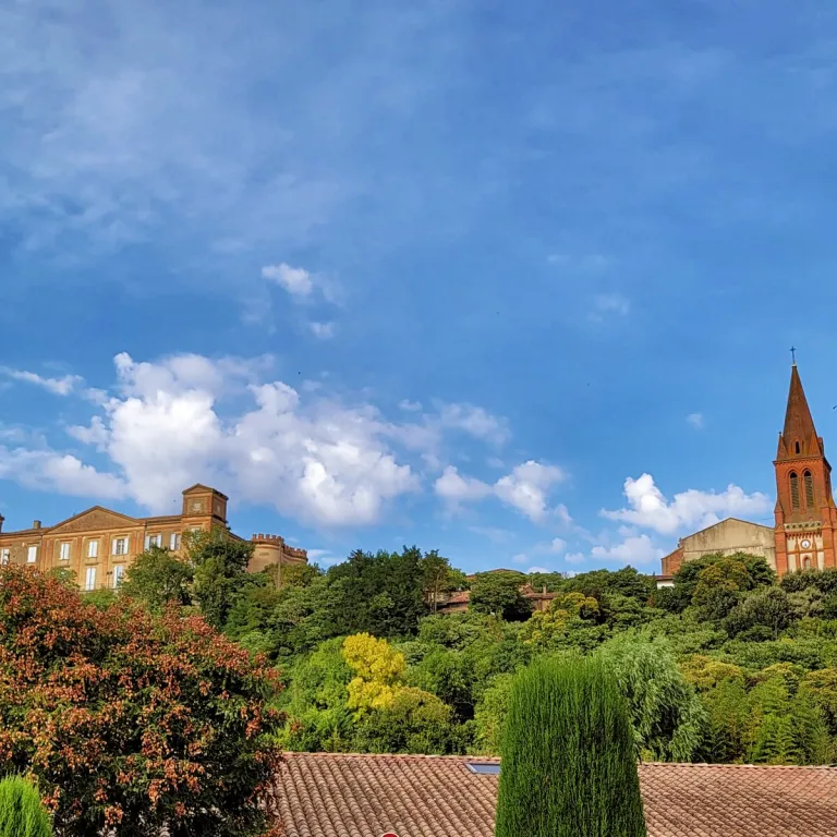 Castelnau-d’Estrétefonds : découverte du patri ...