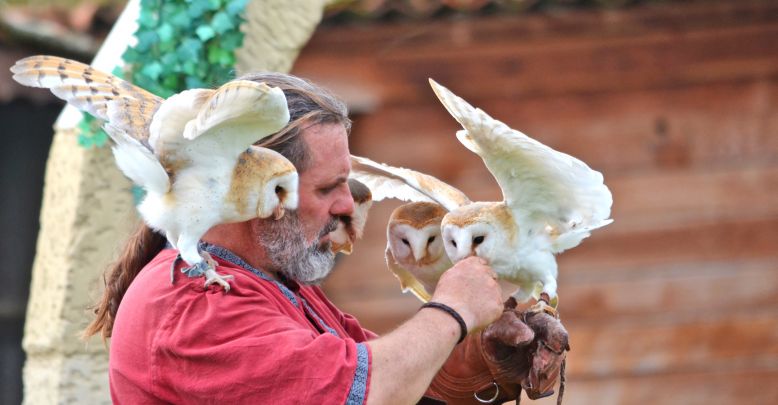 Parque de aves rapaces de Madiran