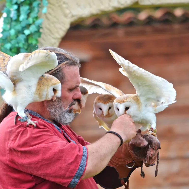 Madiran Birds of Prey Park
