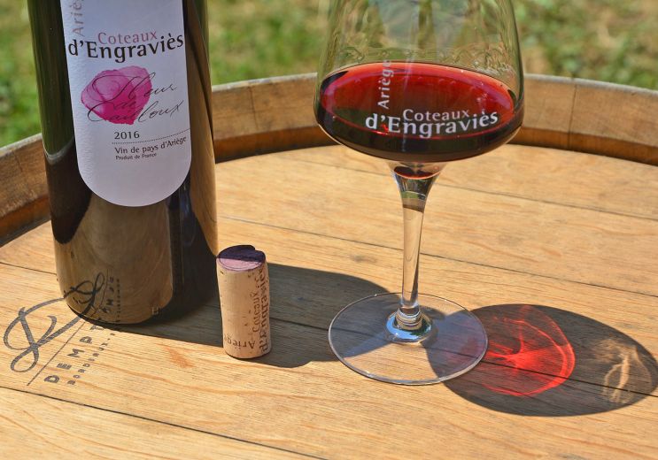 Le Vin d’Ariège, visite du Domaine viticole d’ ...