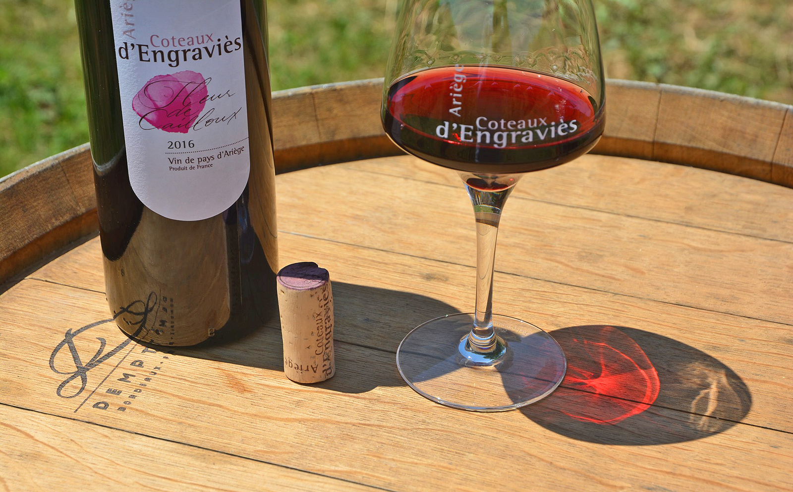 Le Vin d’Ariège, visit of the Engraviès wine e ...