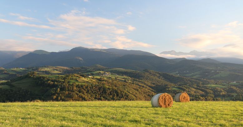 Es primavera: sitios turísticos para ver los p ...