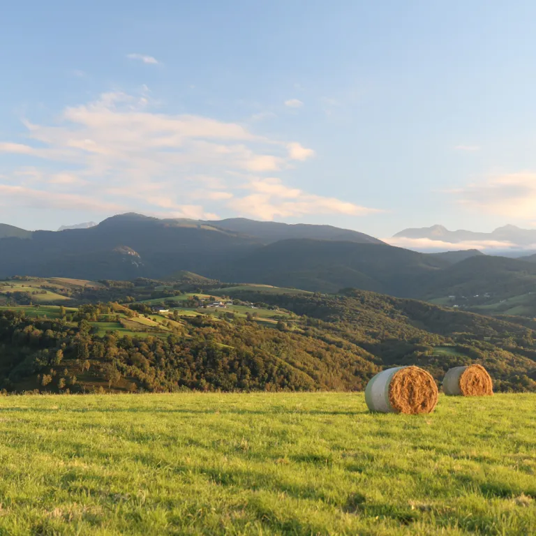 It's springtime: Tourist sites to see the firs ...