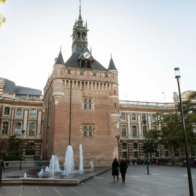 Toulouse, l'Ariège et les Pyrénées, au cinéma, ...