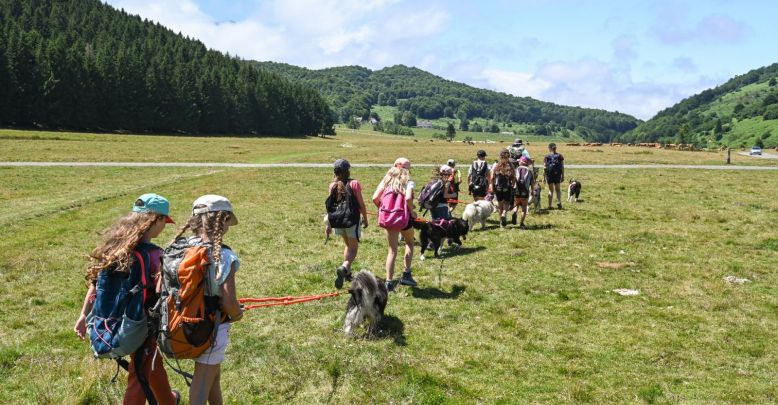 Vivez l'aventure en famille au Tourmalet-Pic d ...