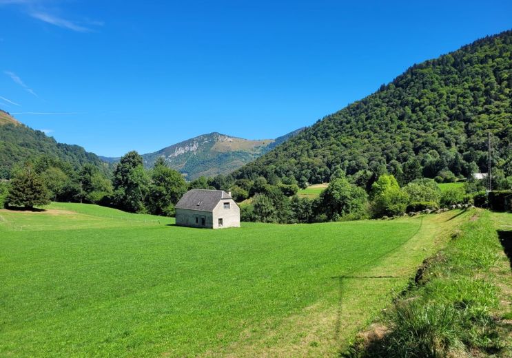 La Vallée de Lesponne : un joyau préservé au c ...