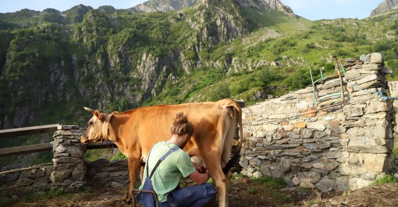 La Ferme des Cascades, un pequeño paraíso ecol ...