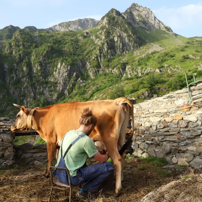 La Ferme des Cascades, a small ecological para ...