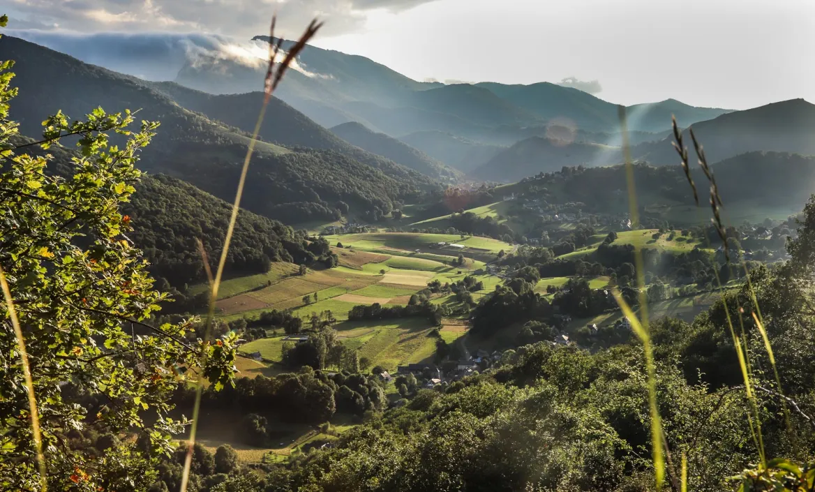 La Gourge d'Asque