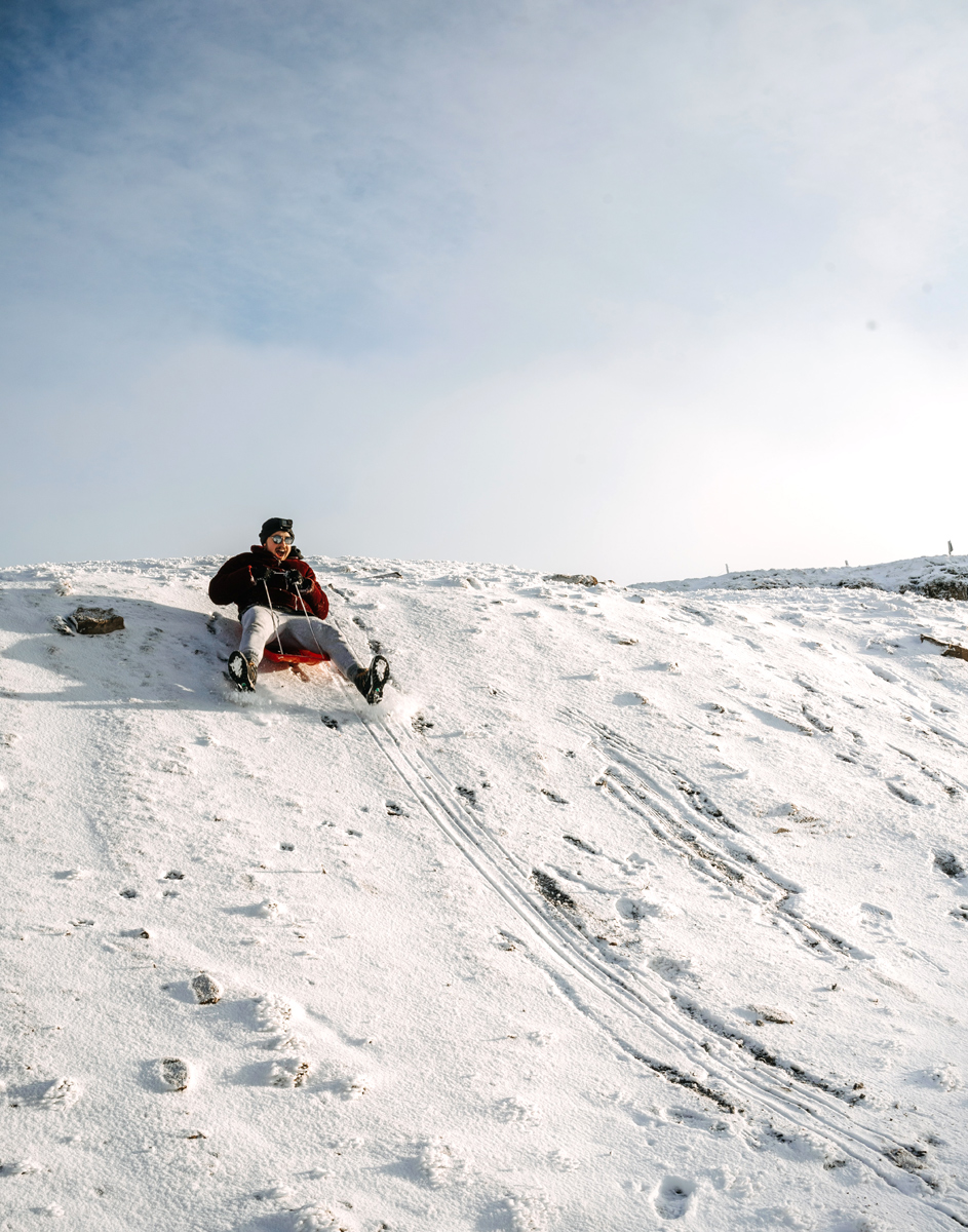 luge