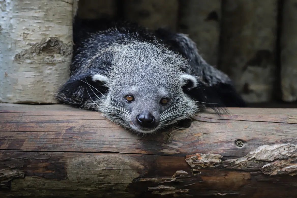Parc Animalier