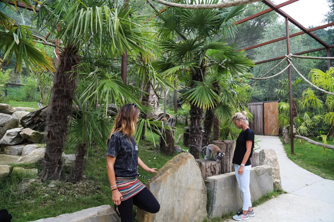 Parc Animalier