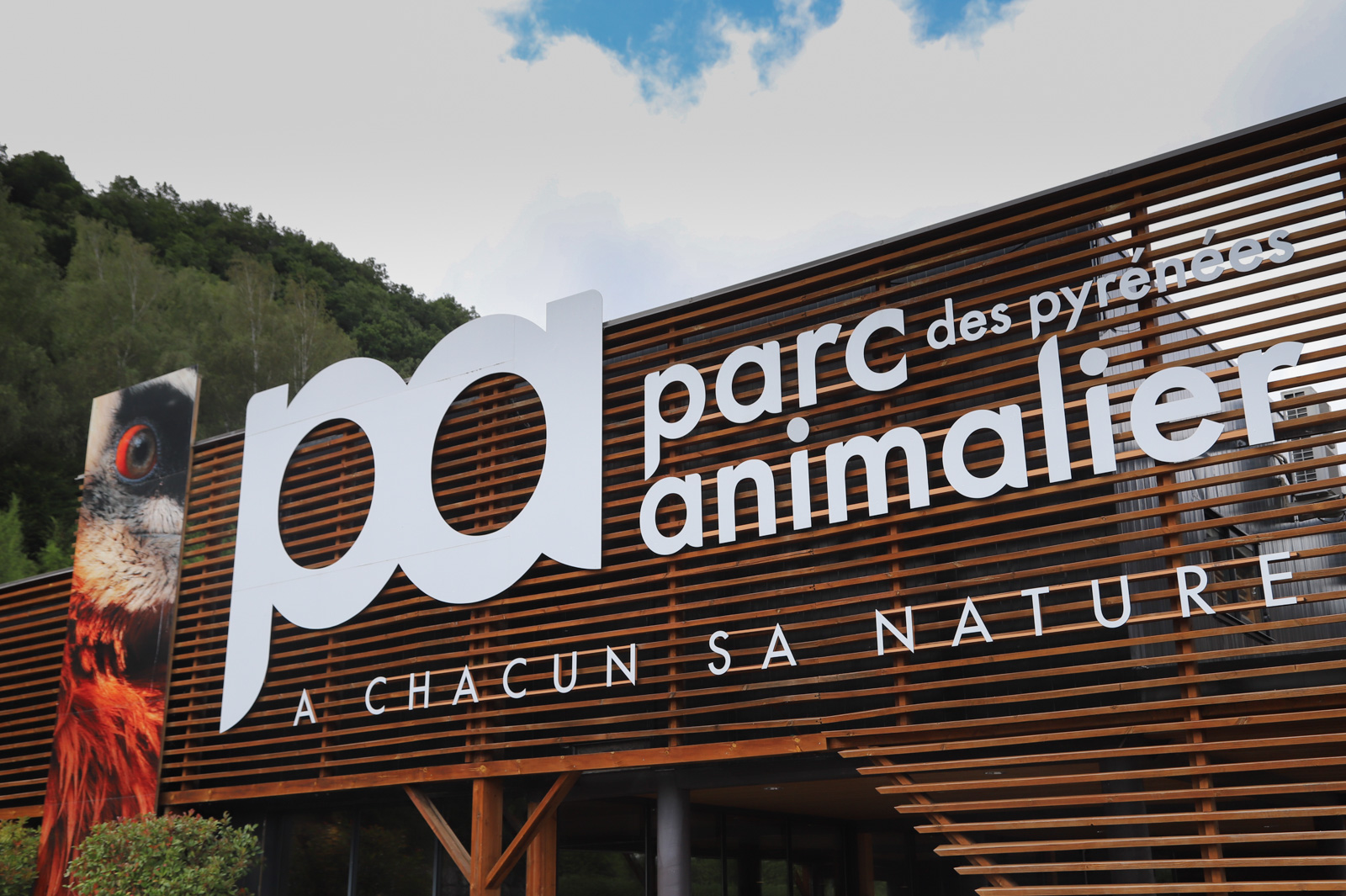 Immersion sauvage au Parc Animalier des Pyrénées - Guide Toulouse
