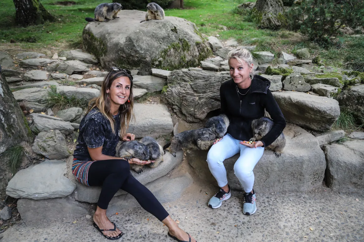 Parc Animalier