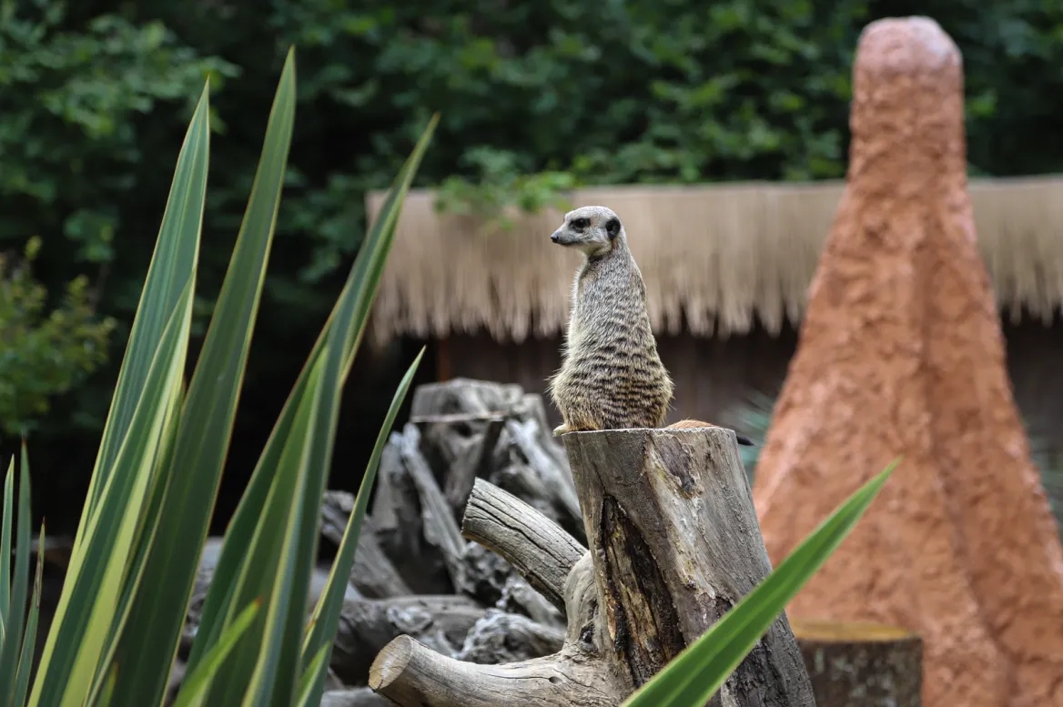 Parc Animalier