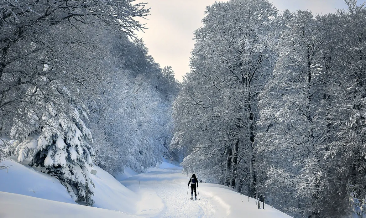 The Pyrenees in winter