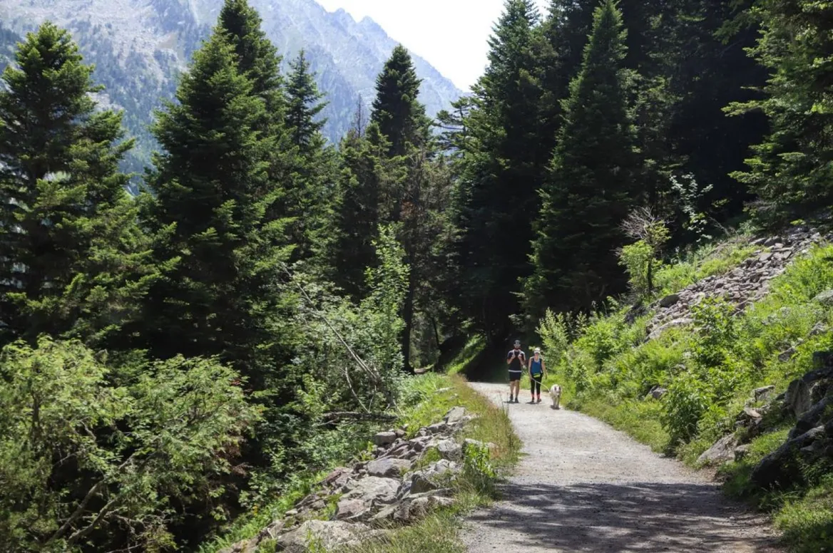 lago gaube