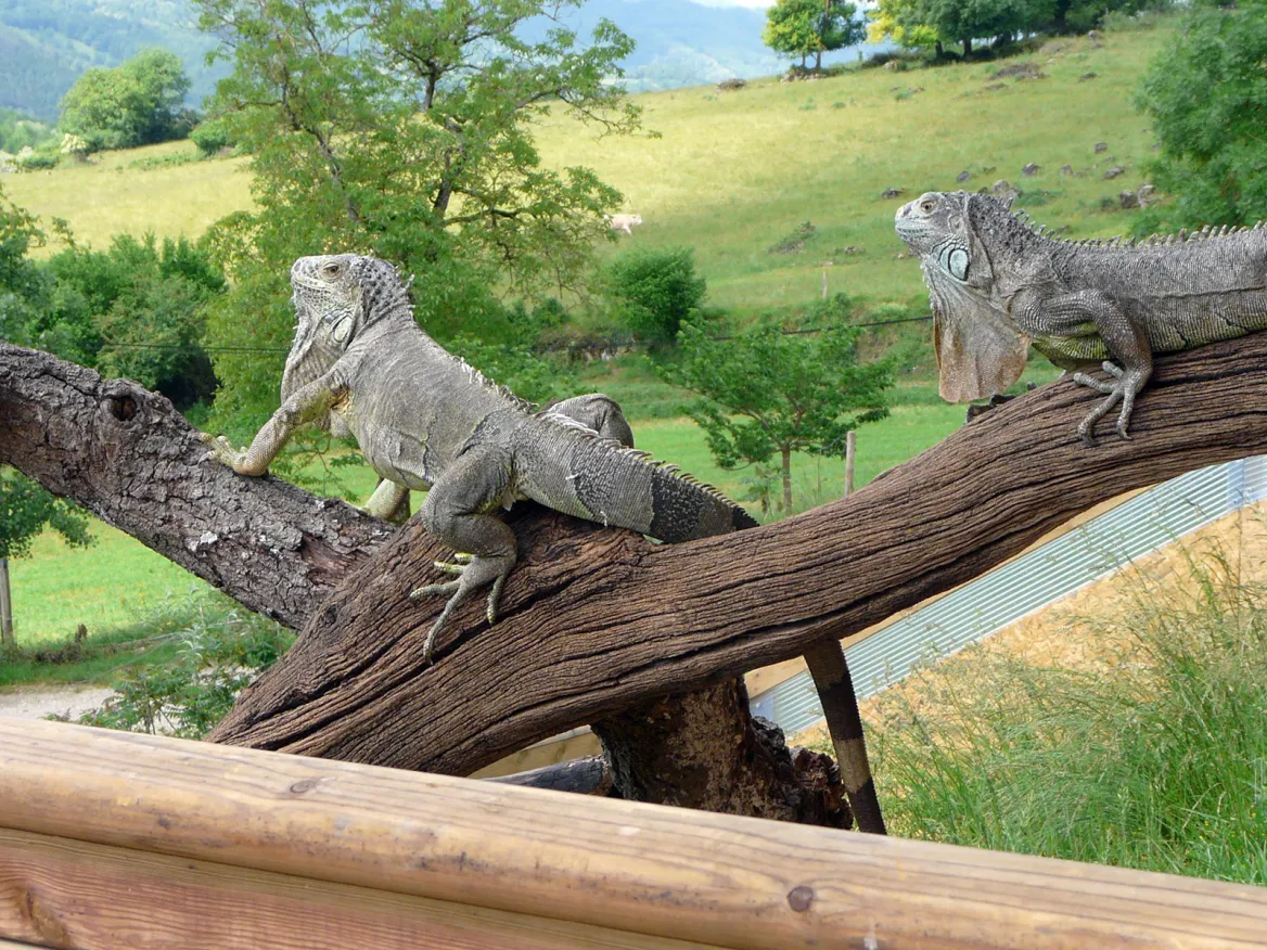 reptile farm