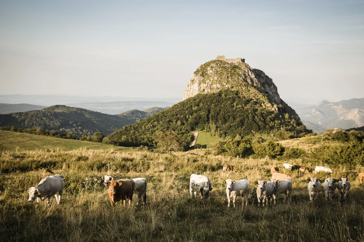 Montsegur Castle