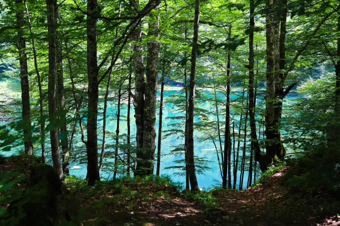 LAC DE BETHMALE