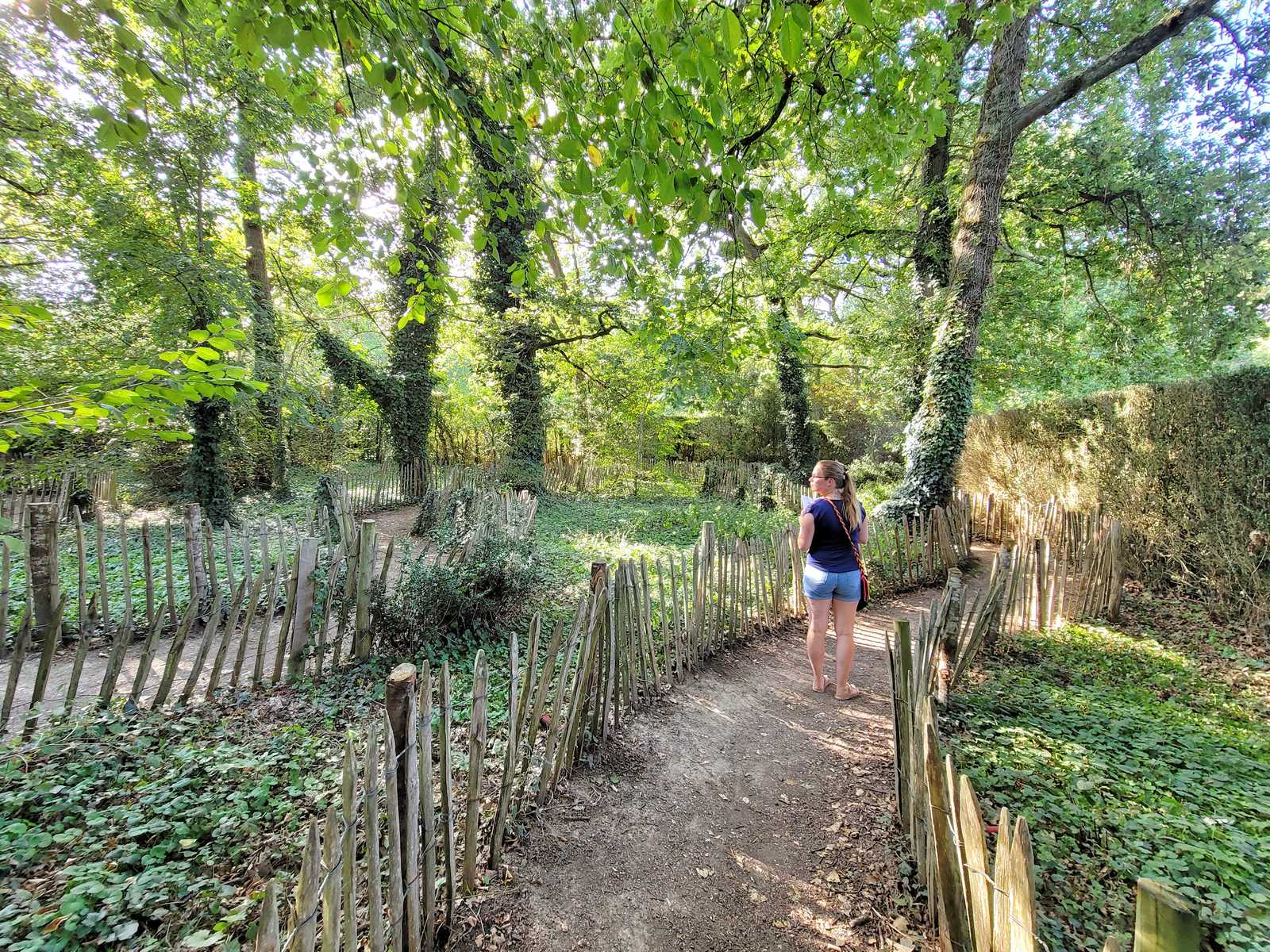 Près de Toulouse : un conteur d'histoires s'installe au labyrinthe de  Merville