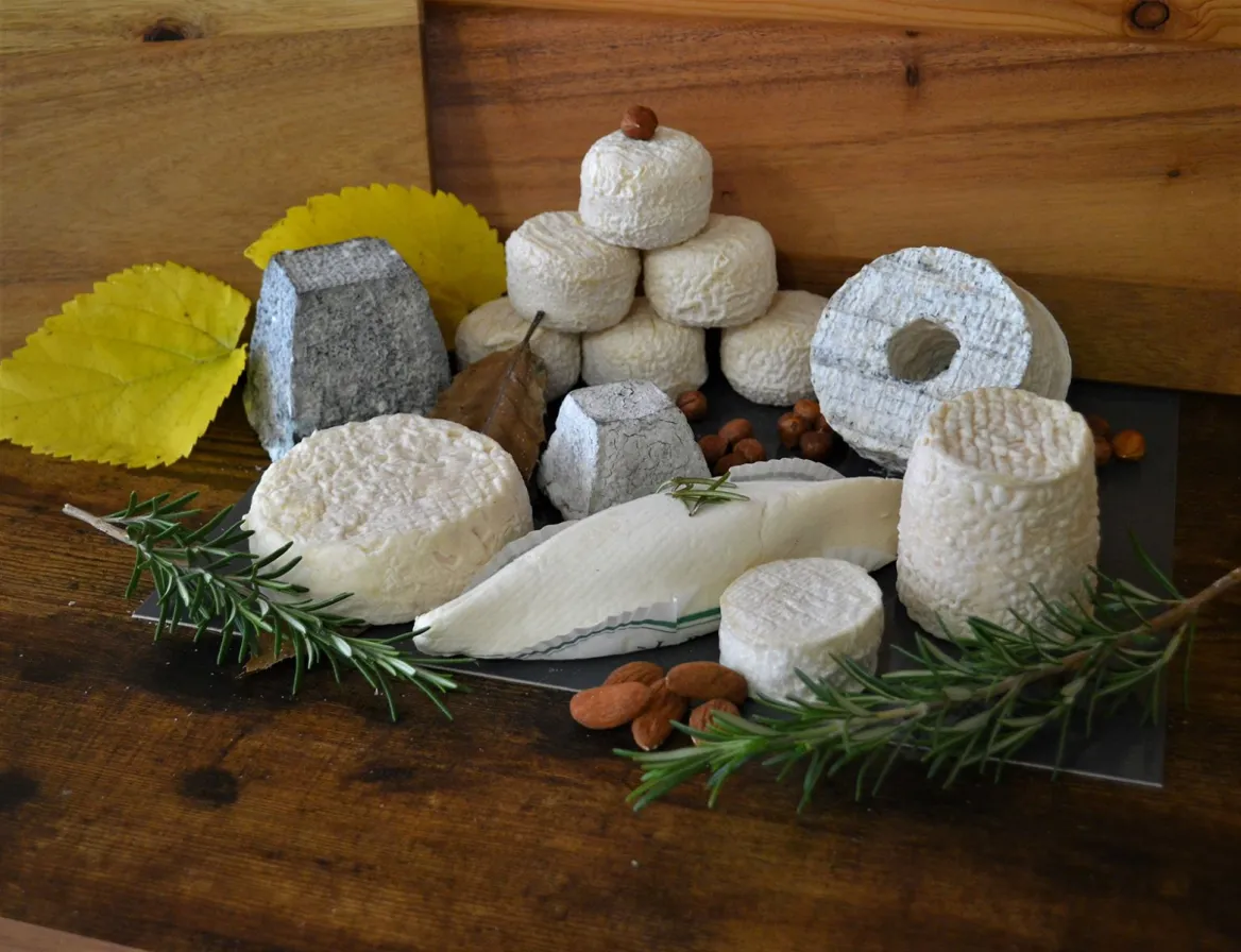 Cheese from the Pyrenees, the blue mouse