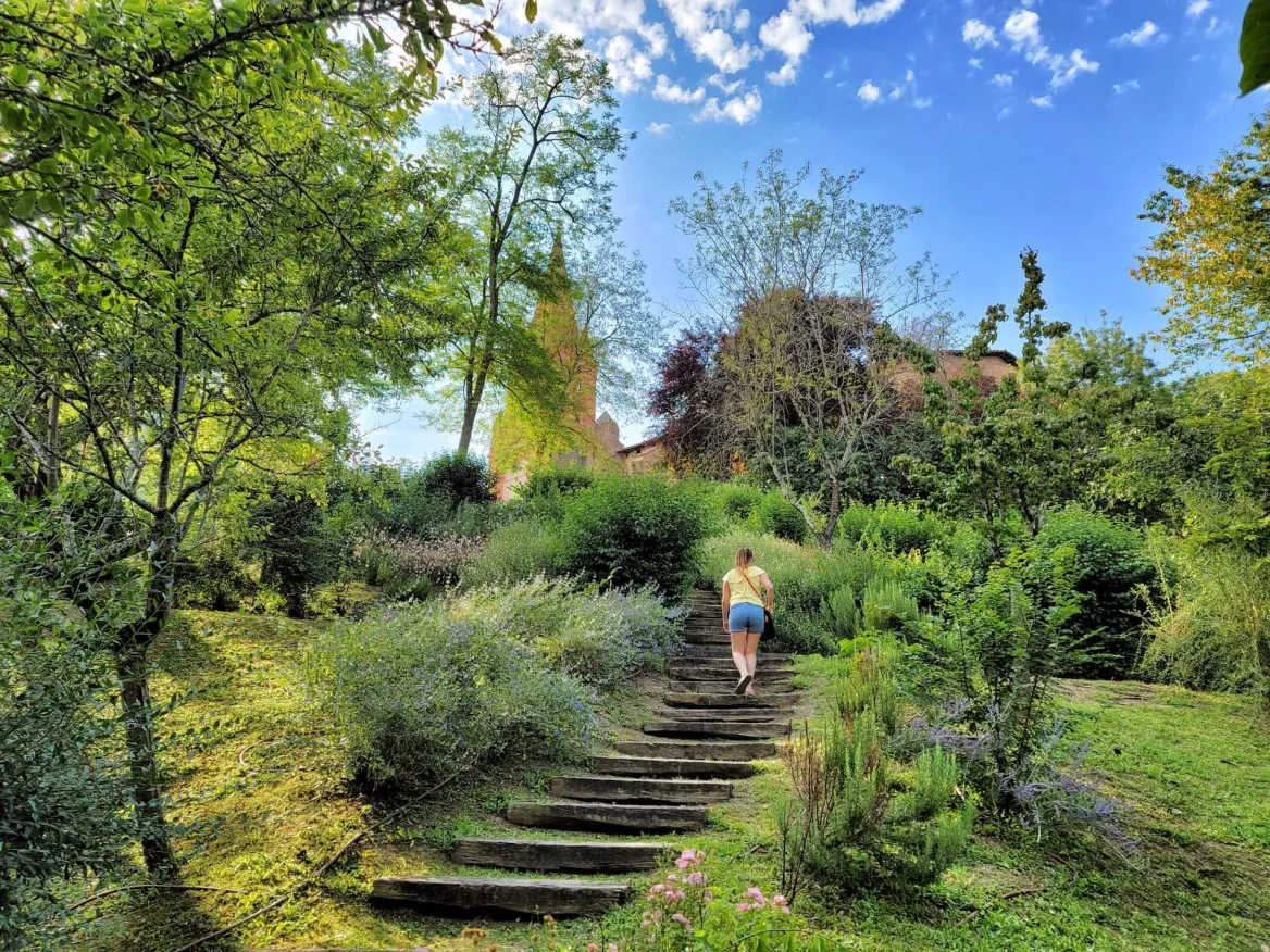 local garden