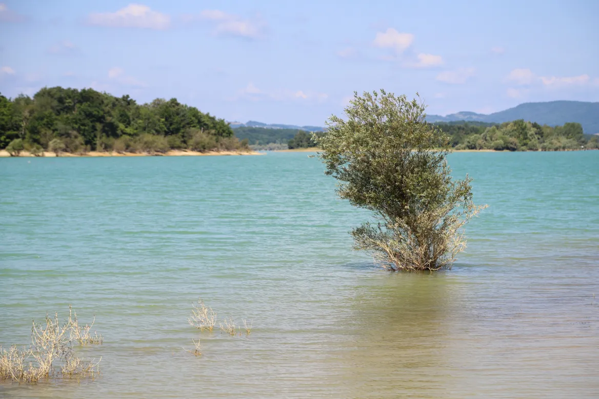 Lac de Montbel