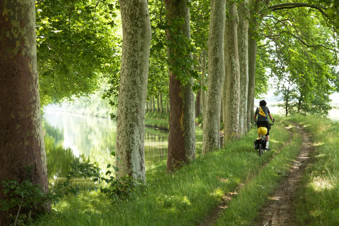 Le Canal du midi à vélo - Crédit photo © Marc AZEMA / AdobeStock