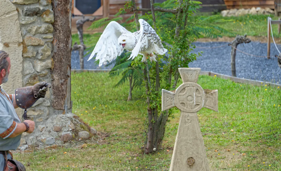 Crédit photo © Le Parc aux Rapaces