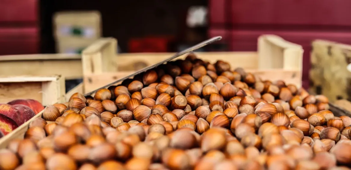 Les 10 incontournables de Pamiers