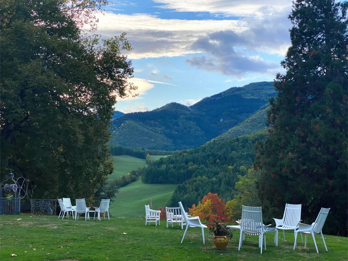 Le Clos Cathala arbre centenaire