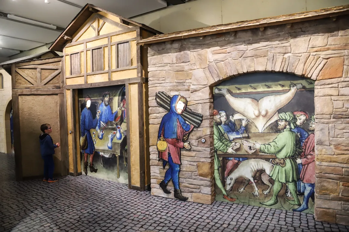 Museo Foix