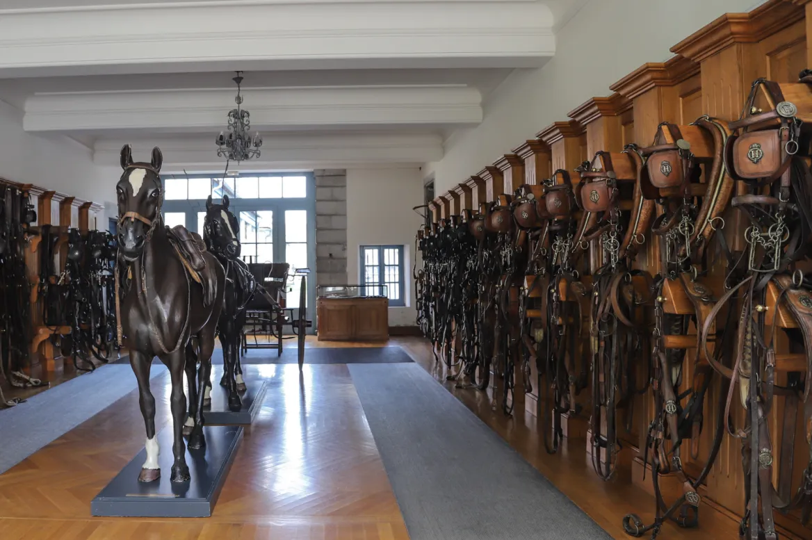 haras national de tarbes