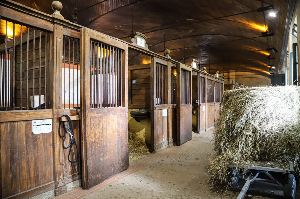 haras de tarbes