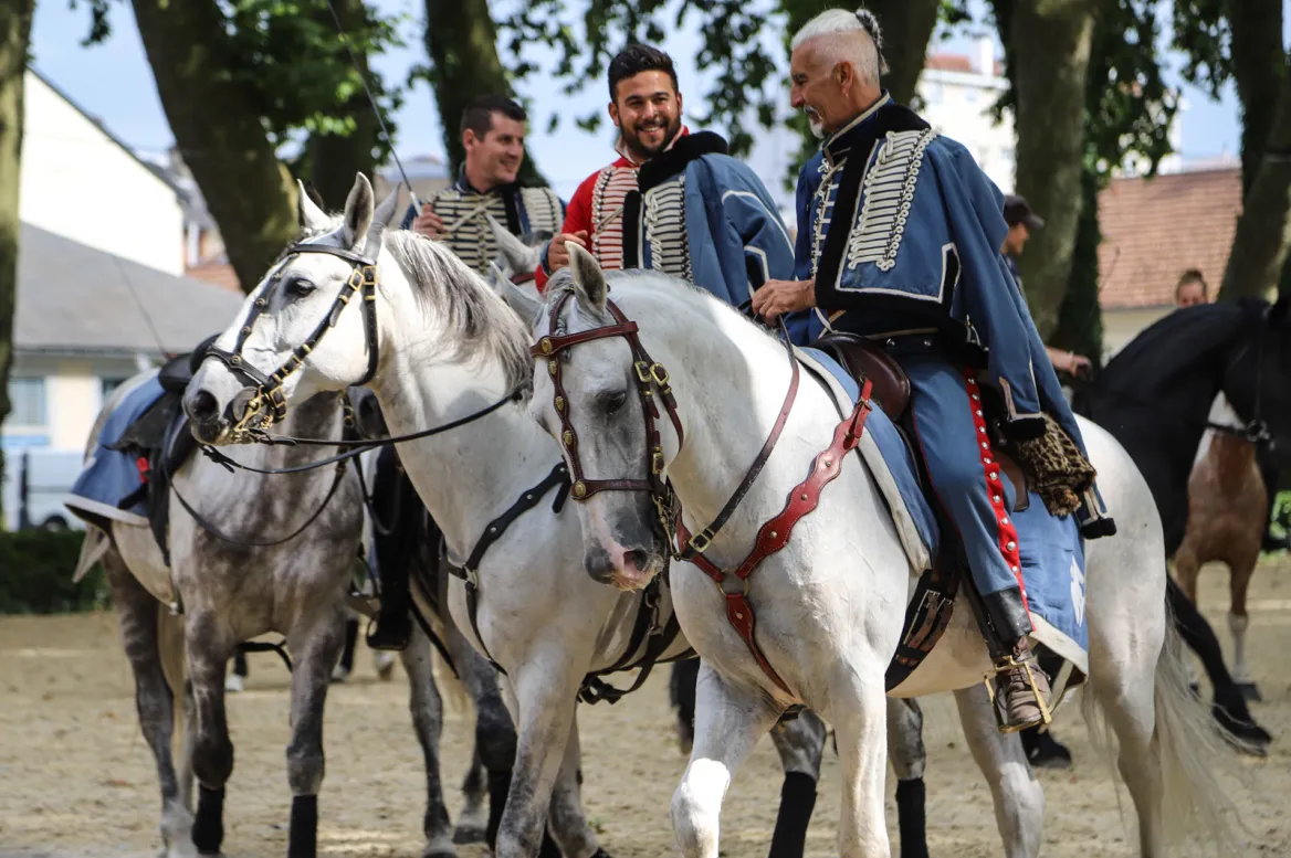 Haras de Tarbes