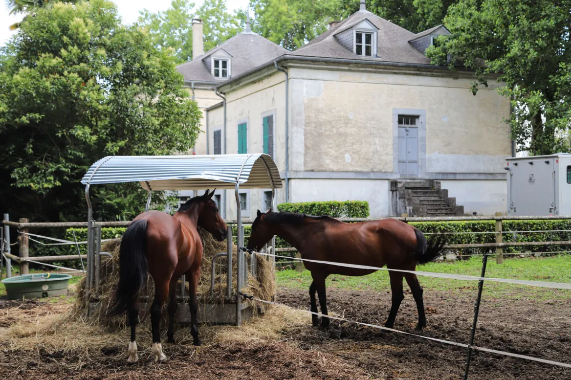 Haras de Tarbes