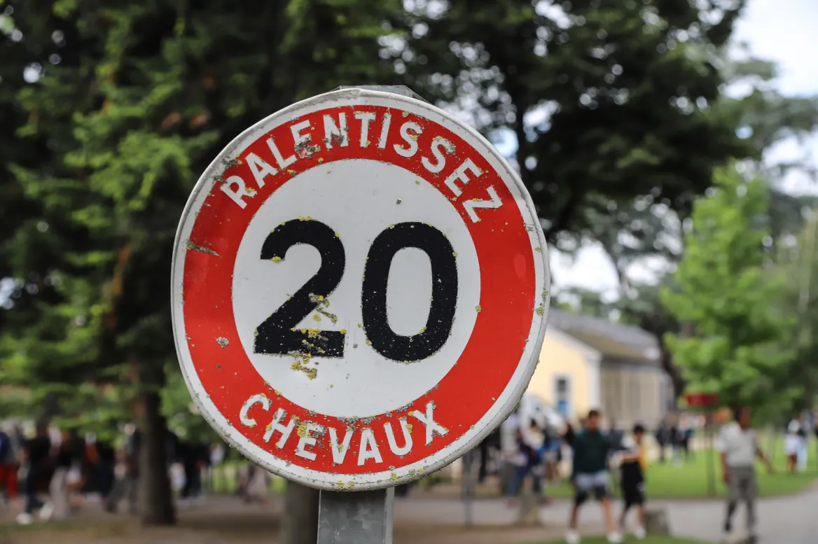 Haras de Tarbes