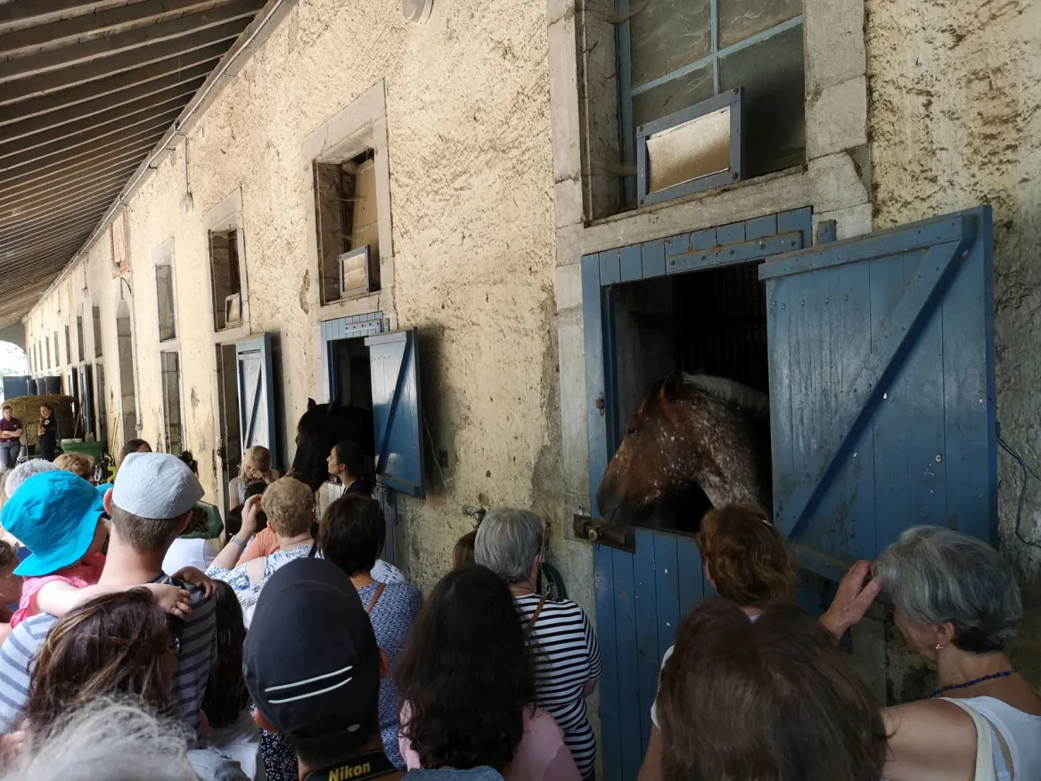 haras de tarbes