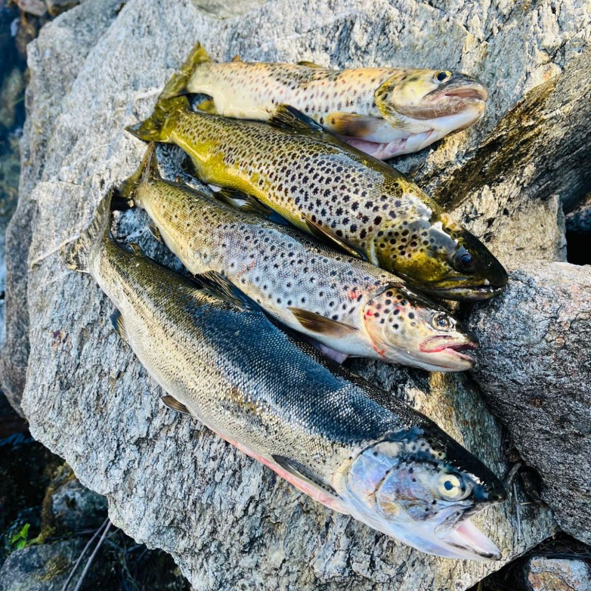 Randonnée de l’Étang de Naguille en HauteAriège Guide Toulouse Pyrénées