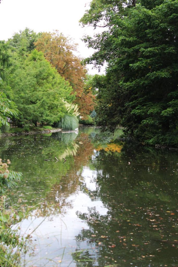 Tarbes