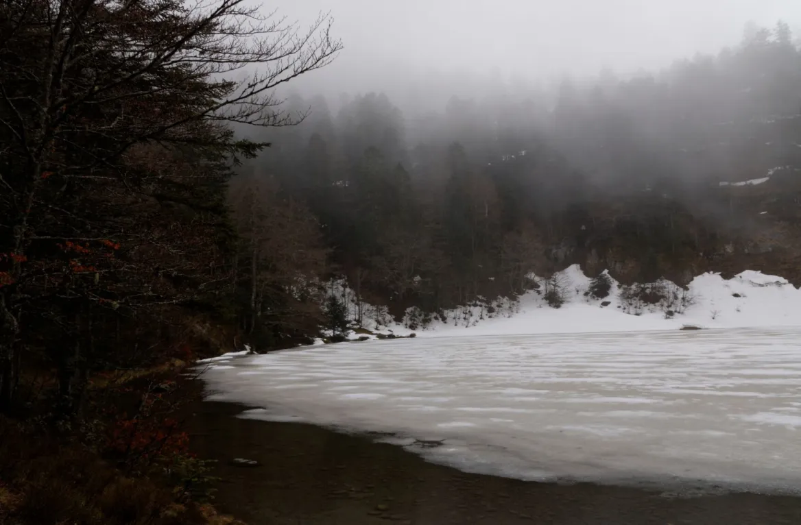 lac de Guzet