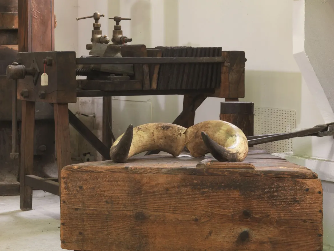 Musée du textile et du peigne en corne
