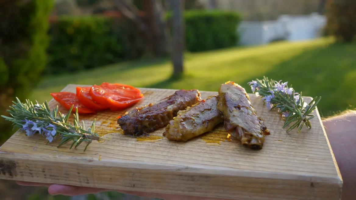 los terruños de Plantaurel