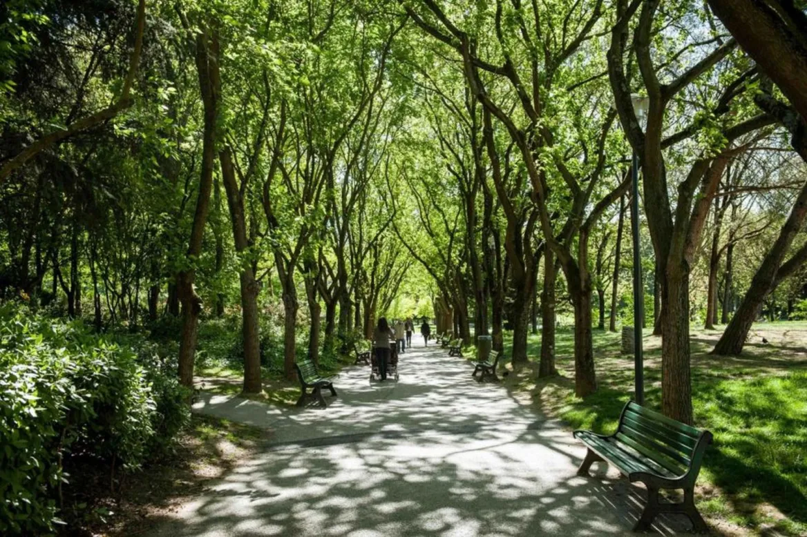 Toulouse en été jardin