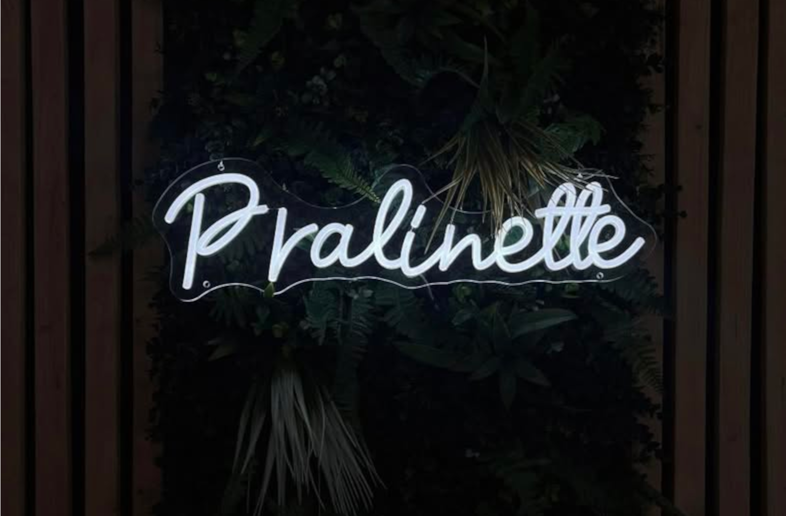 Pastel de praliné
