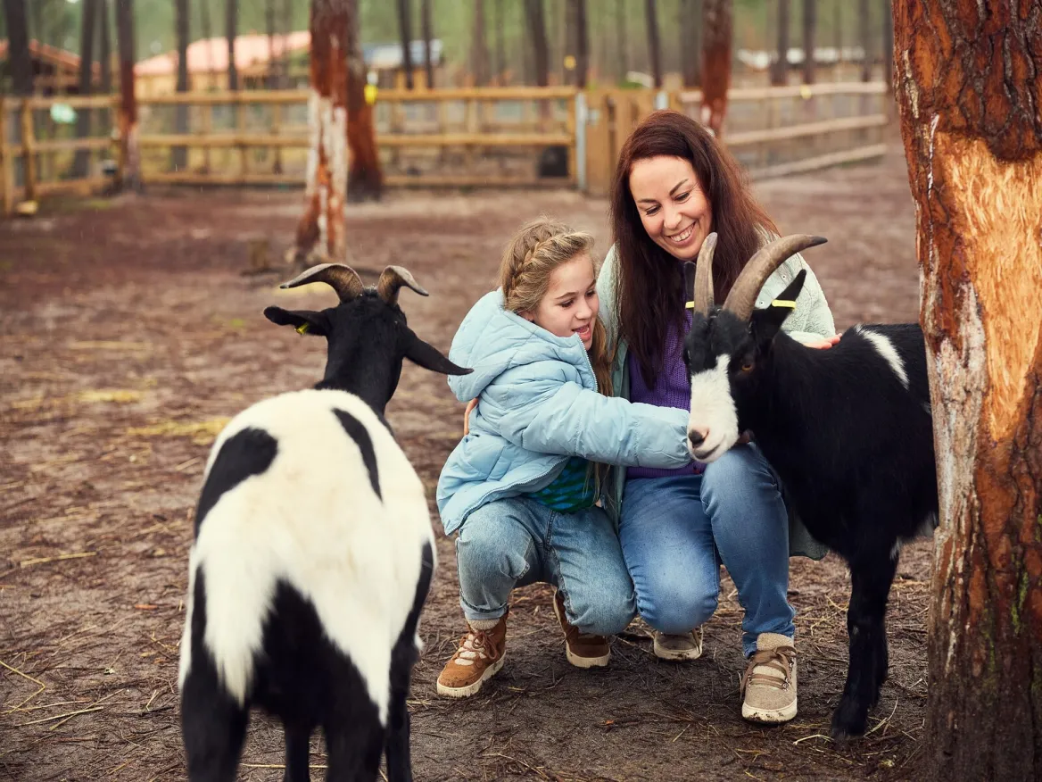 Granja educativa de Center Parcs