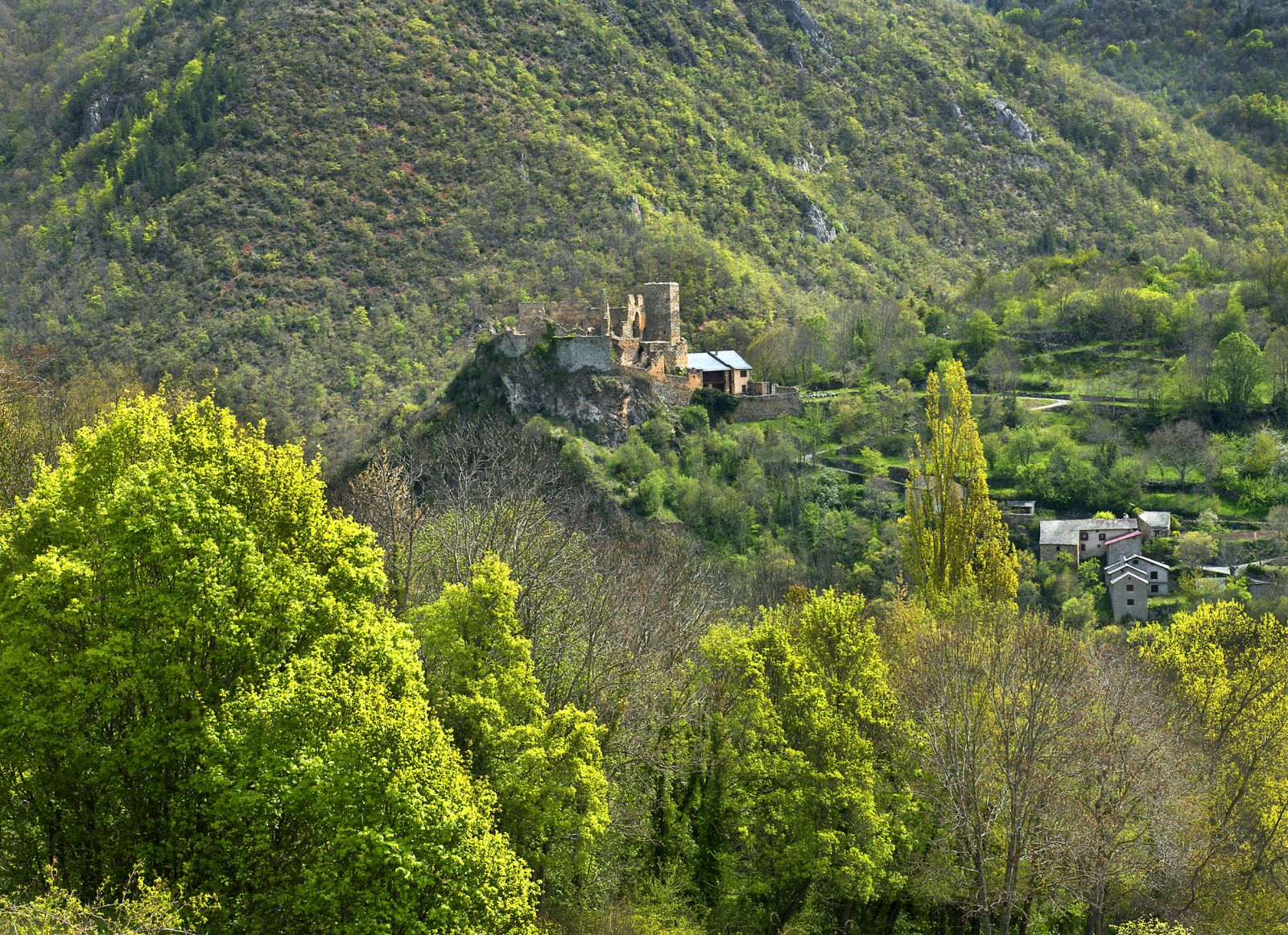 Castillos cátaros en Ariège