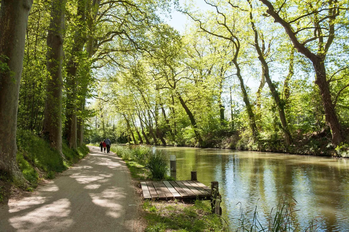 Canal du midi